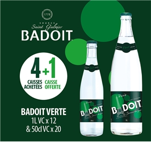 4+1 BADOIT VERTE 1L ET 50cl VC