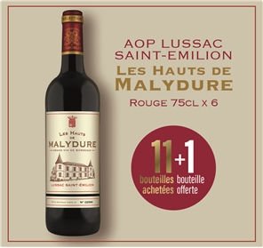 11+1 AOP LUSSAC SAINT-EMILION HAUTS MALYDURE