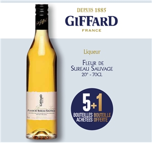 5+1 LIQUEUR GIFFARD FLEUR DE SUREAU