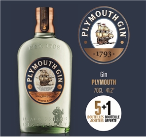 5+1 GIN PLYMOUTH 