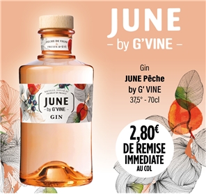 2,80E REMISE GIN JUNE PÊCHE